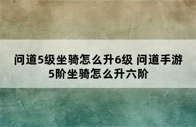 问道5级坐骑怎么升6级 问道手游5阶坐骑怎么升六阶